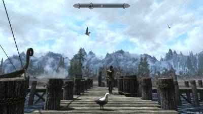 Птицы в Skyrim, скриншот 2