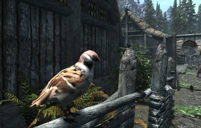 Птицы в Skyrim, скриншот 1