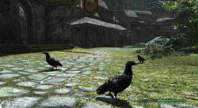 Птицы в Skyrim, скриншот 4